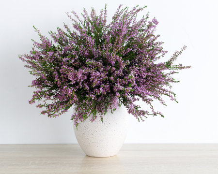A vibrant bouquet of purple heather blooms fills a simple vase resting on a light wooden tabletop, adding a touch of natural beauty and calm to the indoor environment.の写真素材