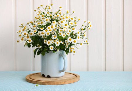 still life with daisies on a white background. summertime in cottage.の写真素材