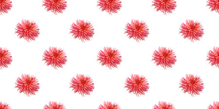 Beautiful floral pattern featuring pink dahlia flowers, perfect for various design projectsの写真素材