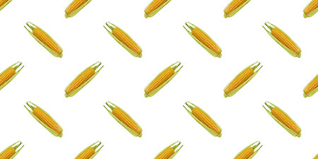 Repetitive pattern featuring fresh corn cobs, ideal for food-related designs and backgroundsの写真素材