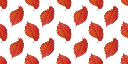 Seamless pattern featuring meticulously drawn bright red autumn leaves, perfect for fall-themed...