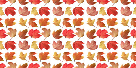 Seamless pattern of colorful autumn leaves creating a vibrant and festive fall backdrop