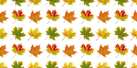 Vibrant maple leaves in various autumnal colors create a seamless pattern, perfect for fall-themed...