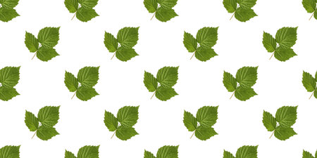 Seamless pattern of fresh green raspberry leaves creating a natural and vibrant backdrop on a clean...
