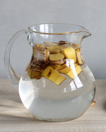 Making natural, organic fertilizer by soaking banana peels in water, a sustainable gardening practiceの写真素材