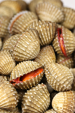 Shells on the market の写真素材