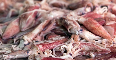 It is a lot of octopuses on a plateの写真素材