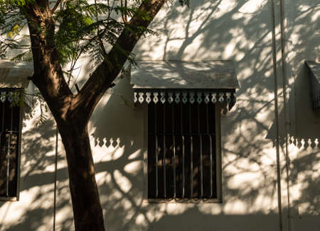 Pondicherry. India - February 2020: Window of an old French era house with shadow of the foliage.のeditorial素材