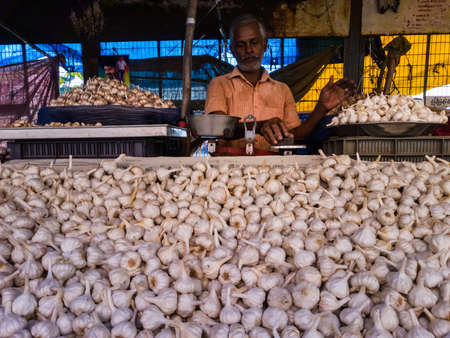 Trichy, Tamil Nadu, India - February 2020: An Indian vegetable vendor selling garlic at his shop in the markets of Tiruchirappalli.のeditorial素材
