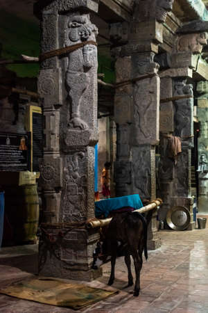 Kumbakonam, Tamil Nadu, India - February 2020: Ornamental carvings on stone pillars of an ancient Hindu temple in the South Indian town of Kumbakonam.のeditorial素材