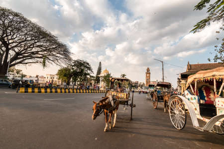 Mysuru, Karnataka, India - January 2019: A man riding a horse cart on the streets of the city of Mysore.のeditorial素材