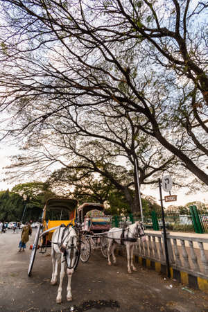 Mysuru, Karnataka, India - January 2019: A colorful horse cart parked below large trees on the streets of the city of Mysore.のeditorial素材