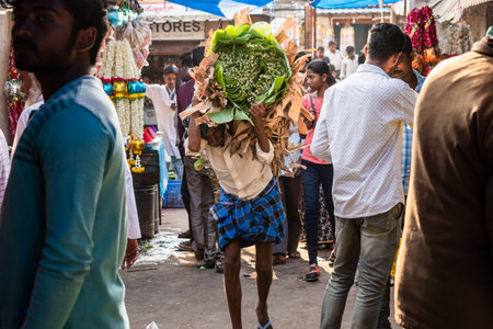 Mysore, Karnataka, India - January 2019: An Indian labourer carrying a bundle of green banana leaves on his head at an old market street in the city of Mysuru.のeditorial素材