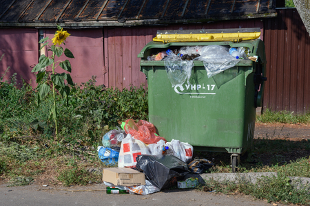 SUZDAL, RUSSIA - AUGUST 19, 2017. Sunflower growing next to the overflowing garbage bin.のeditorial素材