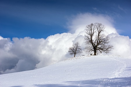 Beautiful snowy mountain landscape after snowfall on a sunny winter day.