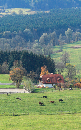 Aerial view of the valley with grazing horses surrounded by the Alps mountains on a sunny autumn day. Weng im Gesaeuse, state of Styria, Austria, Europe.の写真素材