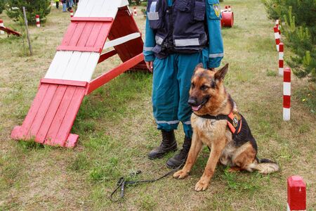 NOGINSK, RUSSIA - JUNE 06, 2018. Search-and-rescue dog with its handler on the dog training ground....