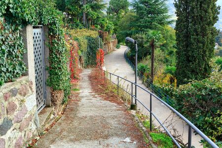 View of the Tappeiner promenade in autumn. City of Merano, Trentino-Alto Adige region, South Tyrol, Italy, Europe.の写真素材