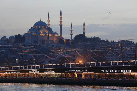 ISTANBUL, TURKEY - OCTOBER 06, 2020. Night view of the Suleymaniye mosque and Galata Bridge, seen from ship during Bosphorus trip. City of Istanbul, Turkey.のeditorial素材
