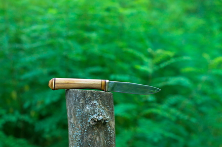 knife lying on a tree stumpの写真素材