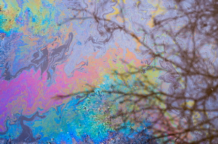 contaminated water and the reflection of a treeの写真素材