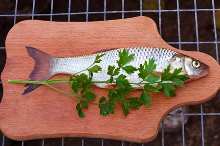 chub and parsley on a cutting board