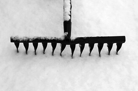 rakes in the snowの写真素材