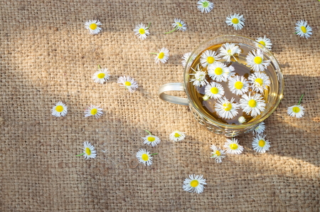 Chamomile tea on baggy cloth, morning sunbeam. Scattered flowers.の写真素材