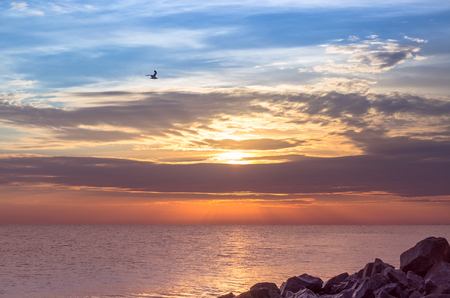 granite stones on the seashore, beautiful sky with clouds sunrise, silhouette of a flying gull.の写真素材