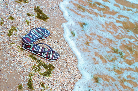 beach slippers on the shell seashore, polluted with green algaeの写真素材
