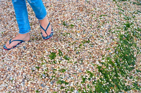 Walking legs of a girl in sandals and jeans along the seashore from small seashells.の写真素材