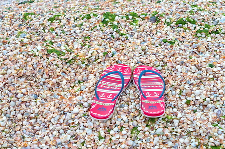 beach slippers against the background of small shells, green algaeの写真素材