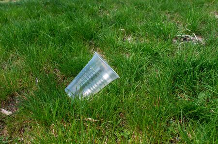 discarded plastic cup in green grass