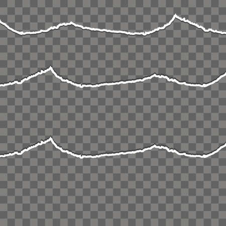 Seamless ripped paper and transparent background with space for text, vector art and illustration.のイラスト素材