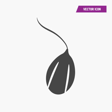 Germinated seed icon vector. Agriculture concept. vector.のイラスト素材
