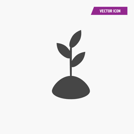 Young growing plant icon on the land. Agriculture concept. vectorのイラスト素材