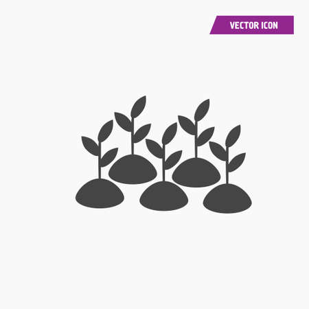 Young growing plant icon on the land, plantation. Agriculture concept. vectorのイラスト素材