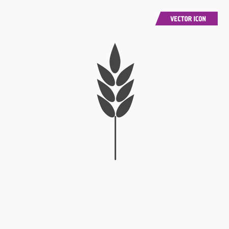 Grain, plant field icon. Symbol of harvest. Vector.のイラスト素材