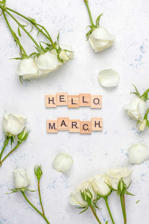 Spring card with white roses and flowers on light background,top viewの写真素材