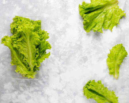 Fresh green lettuce in plastic boxes on grey concrete background,copy space,top view