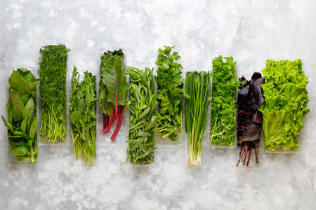 Fresh greens basil,coriander,lettuce,purple basil,mountain coriander,dill,green onion in plastic boxes on grey concrete background,copy space,top viewの写真素材