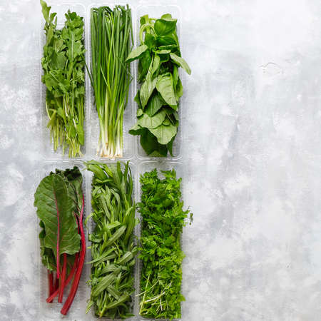 Fresh greens basil,coriander,lettuce,purple basil,mountain coriander,dill,green onion in plastic boxes on grey concrete background,copy space,top viewの写真素材