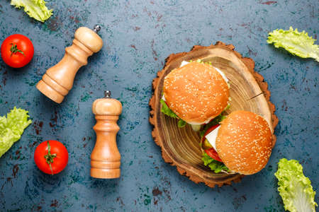 Delicious fresh homemade burgers on dark backgroundの写真素材
