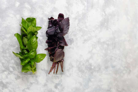 Fresh purple and green basil in plastic boxes on grey concrete background,copy space,top viewの写真素材