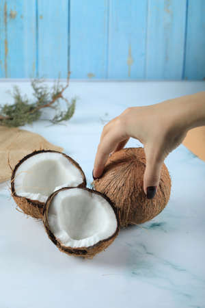 Taking a hairy brown coconut by hand isolated on blue backgroundの写真素材