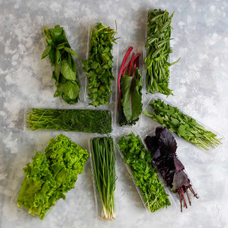 Fresh greens basil,coriander,lettuce,purple basil,mountain coriander,dill,green onion in plastic...
