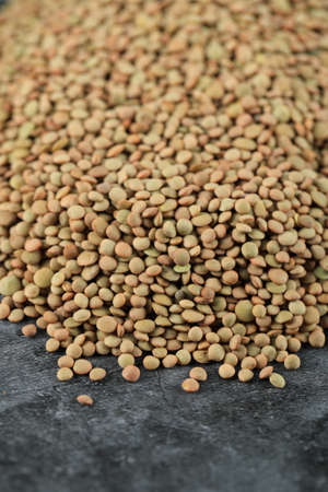 Green fresh and healthy lentil stock on the top of the backgroundの写真素材