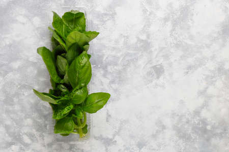 Fresh green basil in plastic boxes on grey concrete background,copy space,top viewの写真素材