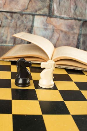 Two knights and a bookの写真素材