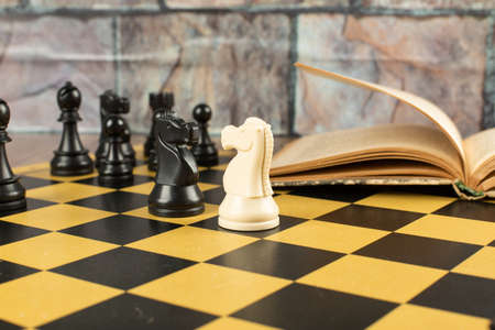 Knights against each other on the chessboard